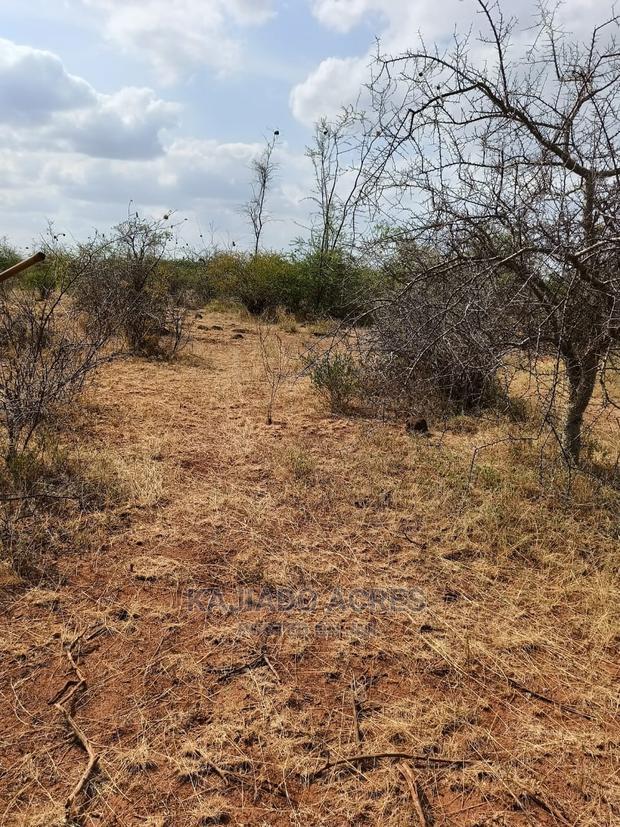 246 Acres Pion(Ilkisumeti) at Per Acre