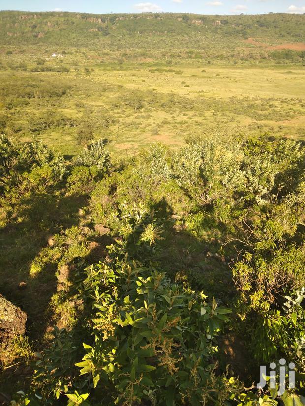 100 Acres Ilkisumeti(Near Eremit)