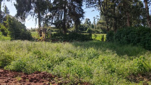 Prime 1/4 Acre Ondiri,Kikuyu at 8m