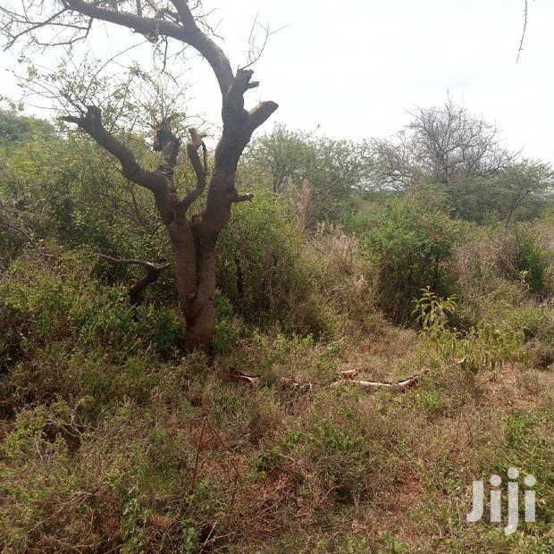 100 Acres Farming Land On Water Table