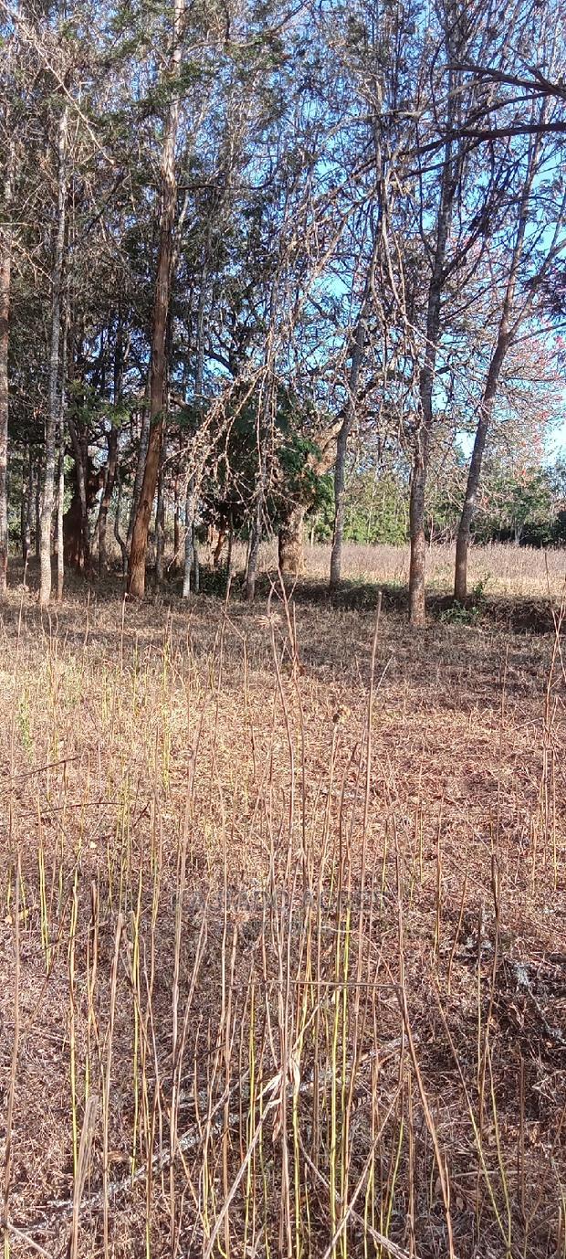Prime 13 Acres Lukenya