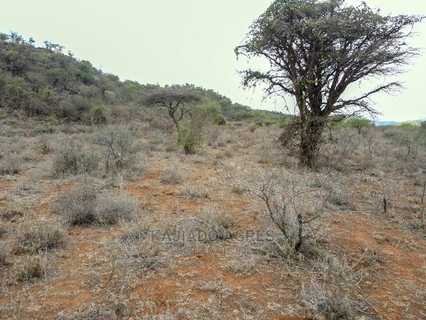 246 Acres Pion(Ilkisumeti) at Per Acre