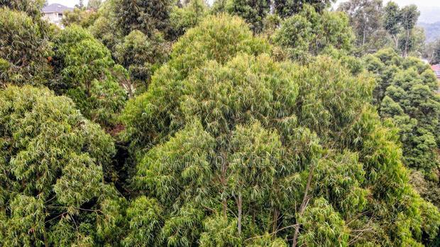 Prime 1/4 Acre Muthaiga,Ngong at 10m