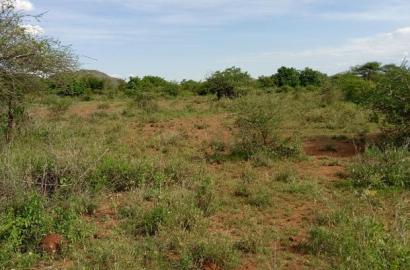 10 Acres Ngoyian(Ilkisumeti)