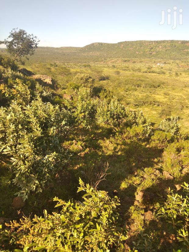 100 Acres Ilkisumeti(Near Eremit)