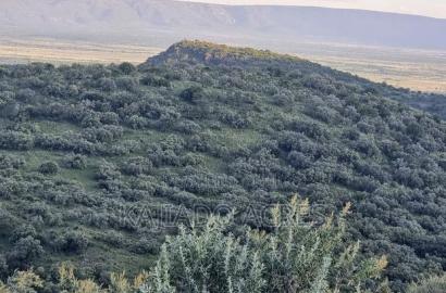 20 Acres on Hill Past Kisamis at Per 450kacre