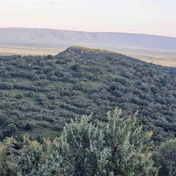 20 Acres on Hill Past Kisamis at Per 450kacre
