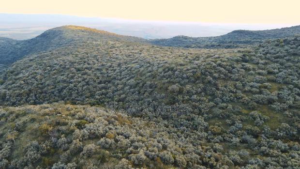 20 Acres on Hill Past Kisamis at Per 450kacre