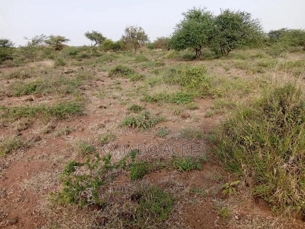 25 Acres Serashi Per Acre