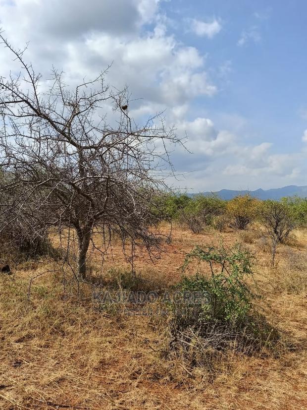 246 Acres Pion(Ilkisumeti) at Per Acre