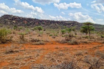 12 Acres Saikeri at 800k Per Acre