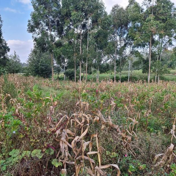 Prime 1/2 Acre Ngere Road, Ngong at 15m