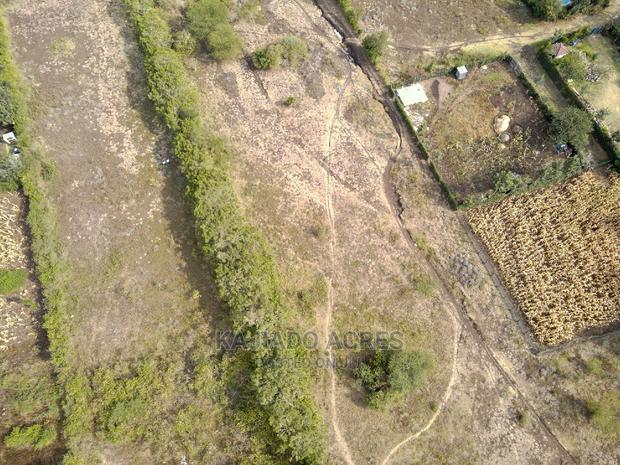 1/4 Acre Kandisi at 4.5m