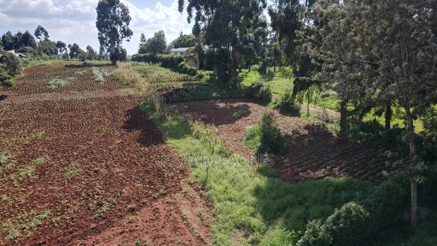 Prime 1/4 Acre Ondiri,Kikuyu at 8m