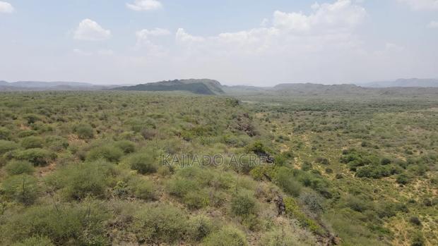 50 Acres on Cliff in Tinga at Per Acre