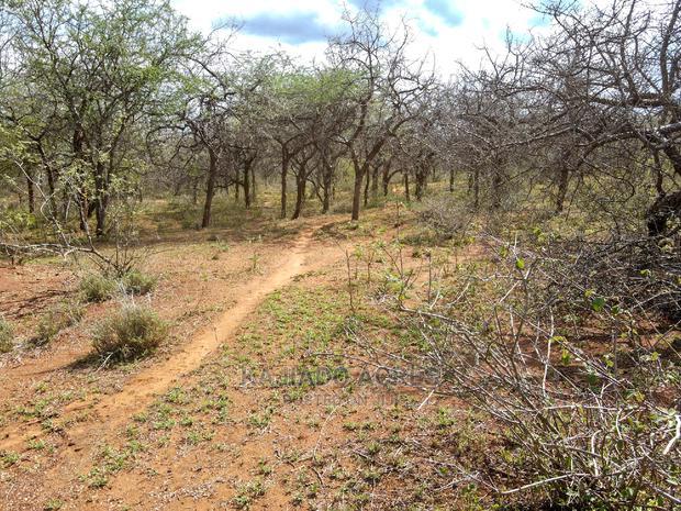 42 Acres Iselengei(Oloitoktok South) at 350k Per Acre