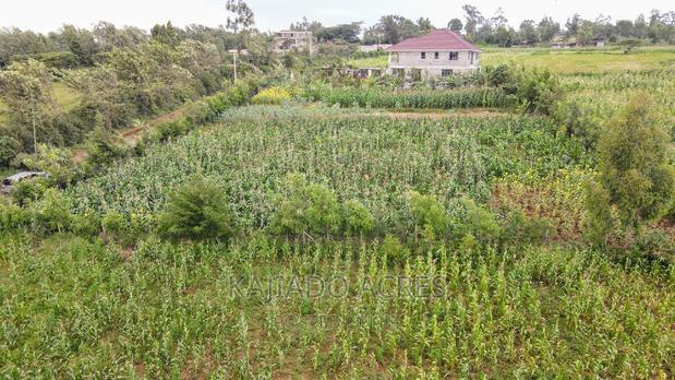 1/4 Acre Kibiku at 6m