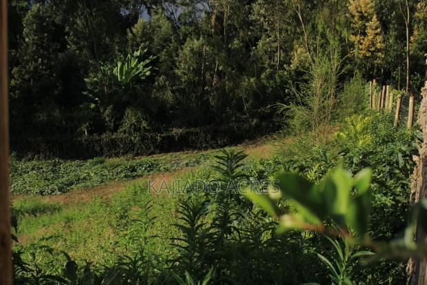 1/8 Acre Lemiso Road at 3.5m