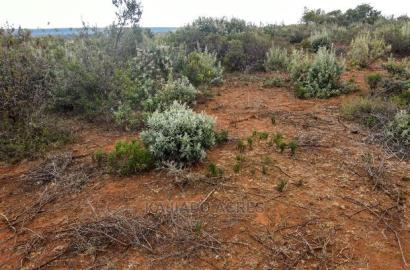 Prime Kimuka 15 Acres at 3.2m Per Acre