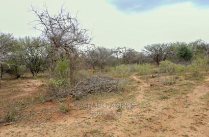Quick Sale 140 Acres Maili Tisa