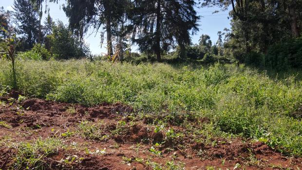 Prime 1/4 Acre Ondiri,Kikuyu at 8m