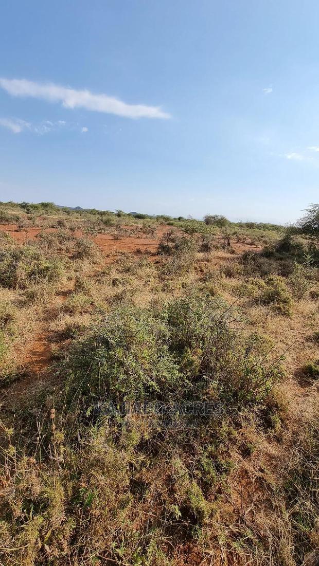 8 Acres Nkorika