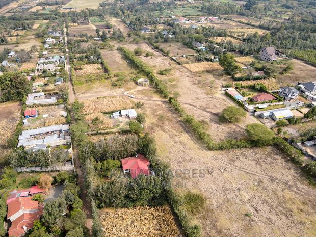 1/4 Acre Kandisi at 4.5m