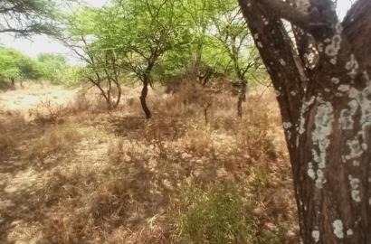 Prime 10 Acres Touching Tinga Najilei Road at 450k Per Acre