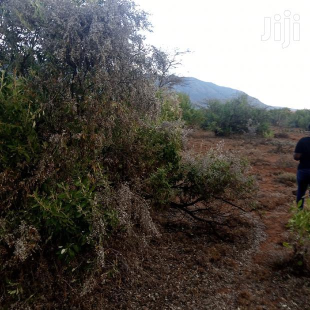 25 Acres Serashi Per Acre
