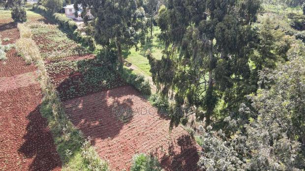 Prime 1/4 Acre Ondiri,Kikuyu at 8m