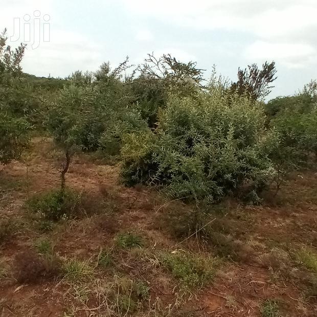 3 Acres Oloishobor at 1.8m Per Acre
