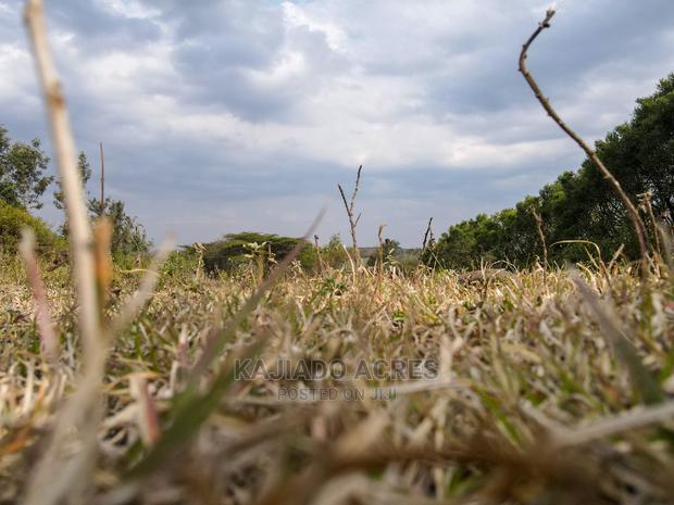 1/4 Acre Kandisi at 4.5m