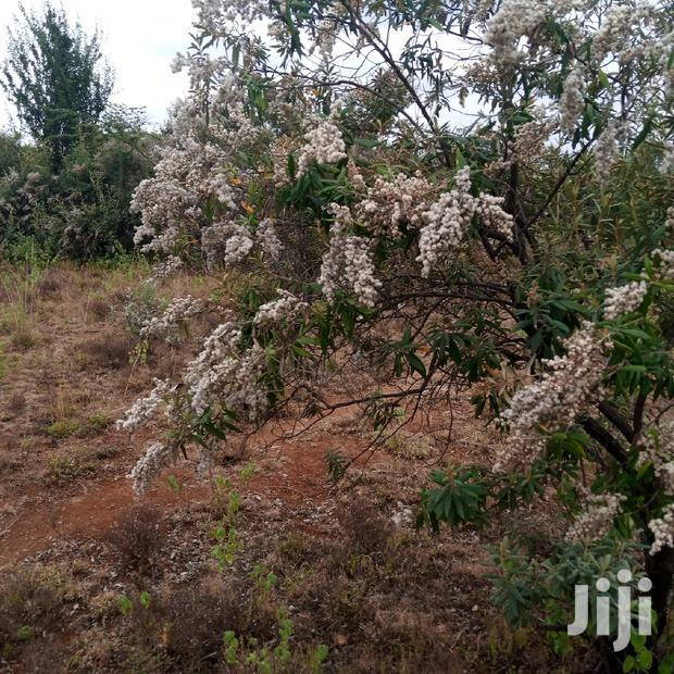 1 Acre Olkudate at 1.8m Per Acre