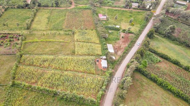 1/4 Acre Kibiku at 6m