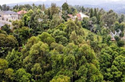 Prime 1/4 Acre Muthaiga,Ngong at 10m