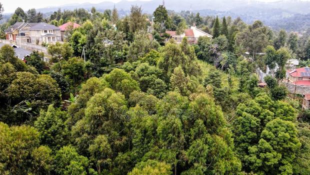 Prime 1/4 Acre Muthaiga,Ngong at 10m