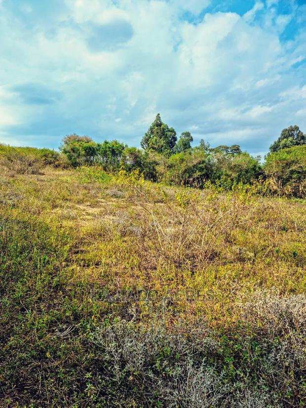 1/4 Acre Kandisi at 4.5m