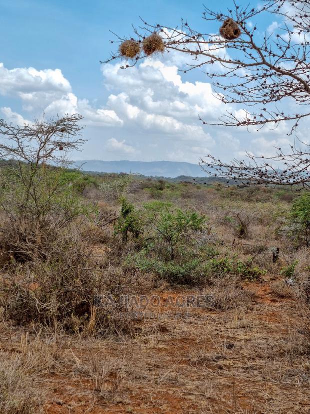 12 Acres Saikeri at 800k Per Acre