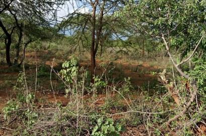 5 Acres Farming Land in Eremit(Near Tinga )At Per Acre