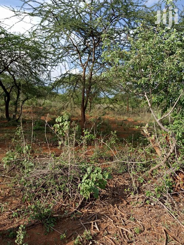 5 Acres Farming Land in Eremit(Near Tinga )At Per Acre
