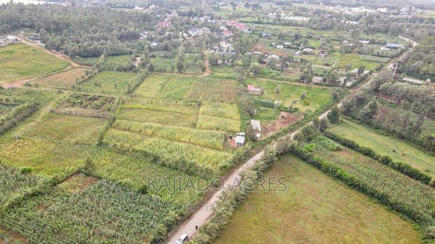 1/4 Acre Kibiku at 6m