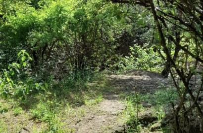 Prime 20 Acres With Hot Springs Ewuasokedong at 400kper Acre