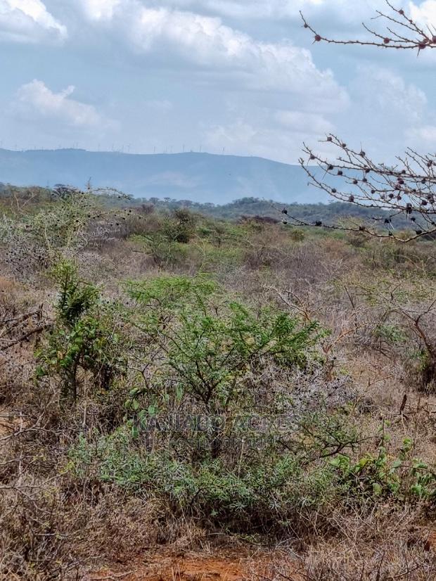 45 Acres Saikeri at 850k Per Acre
