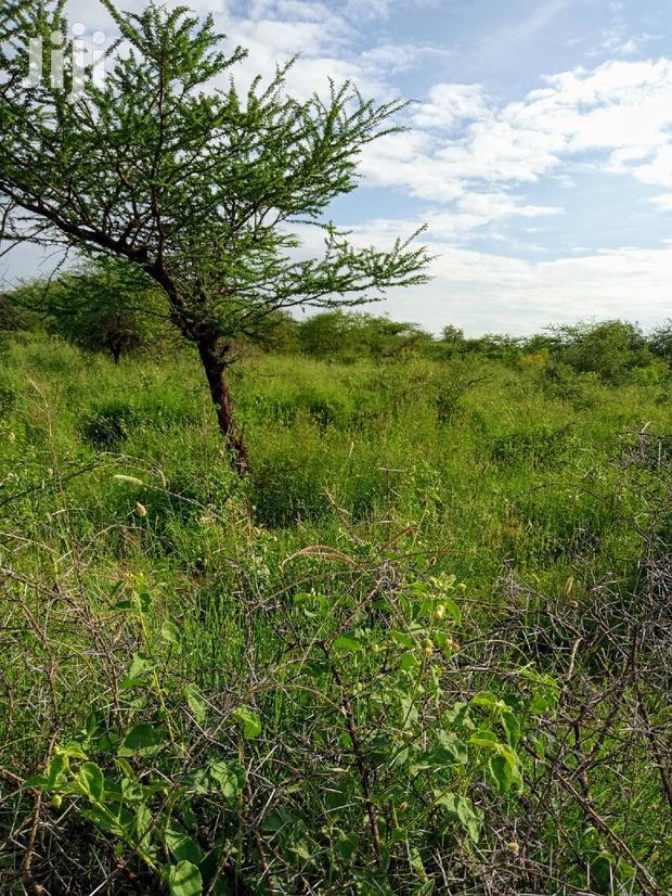5 Acres Farming Land in Eremit(Near Tinga )At Per Acre
