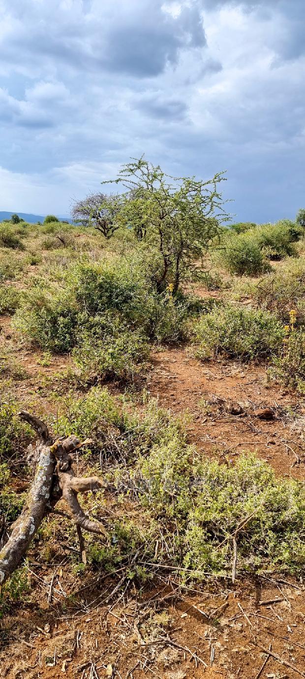 Prime 10 Acres Cliff Edge ,Lentoko,At 420k Per Acre