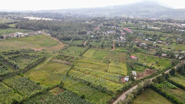 1/4 Acre Kibiku at 6m
