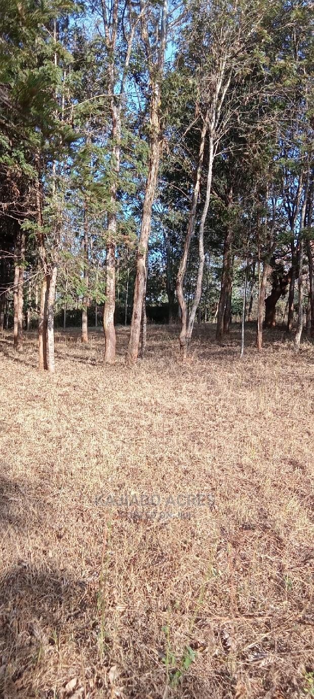 Prime 13 Acres Lukenya