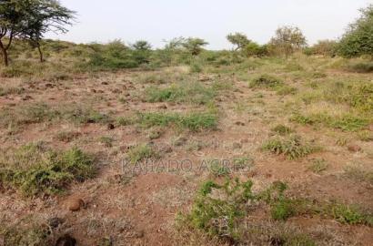 25 Acres Serashi Per Acre