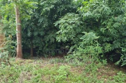 Prime One Acre Bondeni