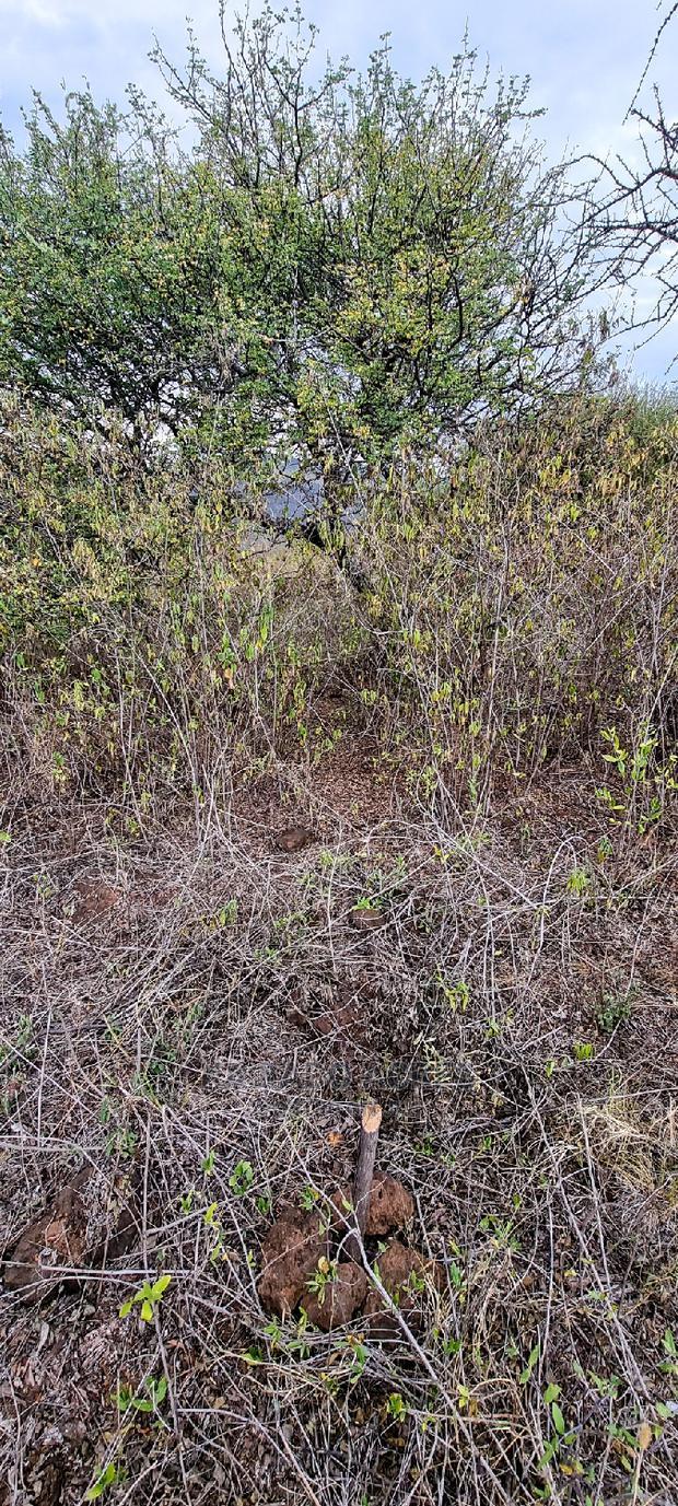 Prime 10 Acres Cliff Edge ,Lentoko,At 420k Per Acre